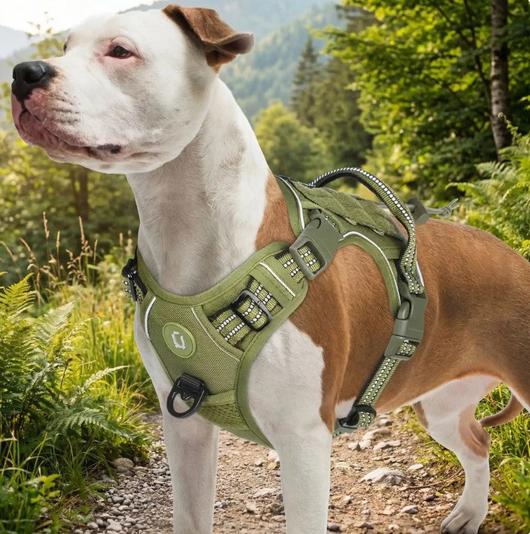 Harnais Chien - TactiChien™