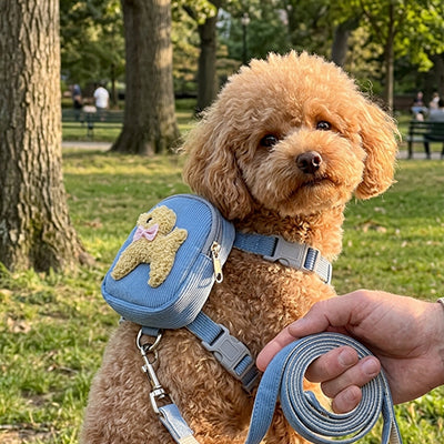 Harnais Chien - ToutouSac™(Avec 1 Laisse)