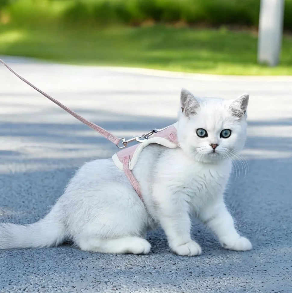 Harnais Petit Chien - MiniHarnais™