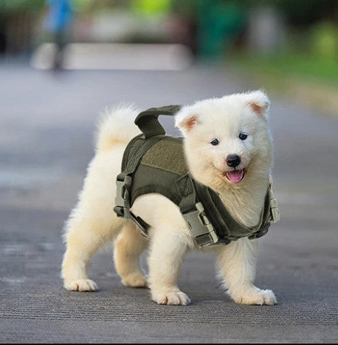 Harnais Petit Chien - MiniGilet™