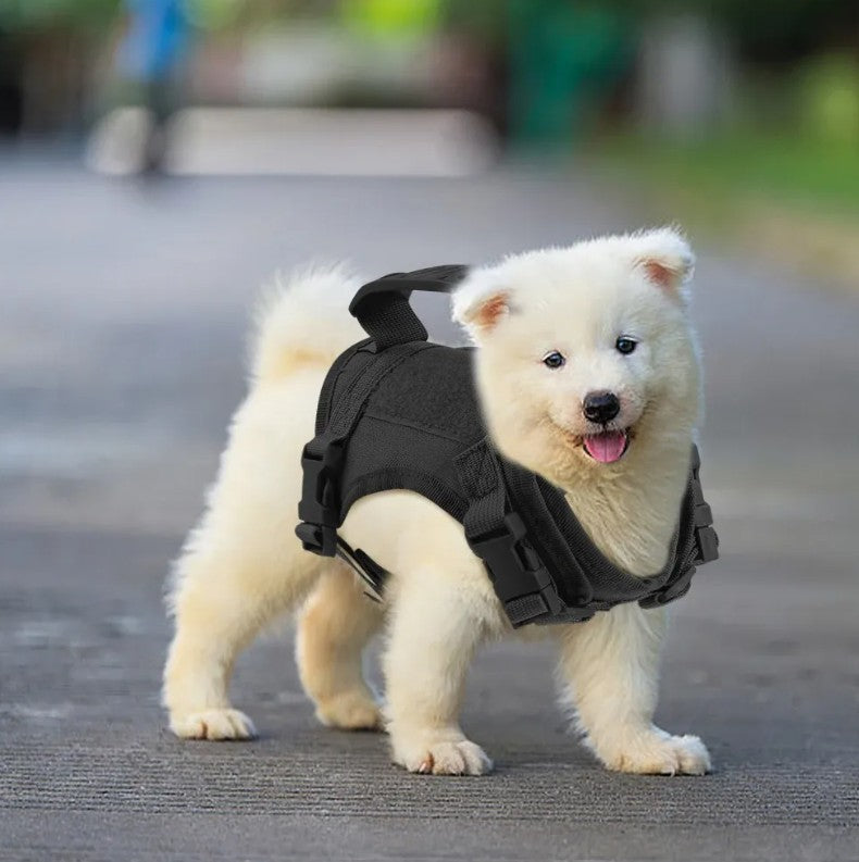 Harnais Petit Chien - MiniGilet™