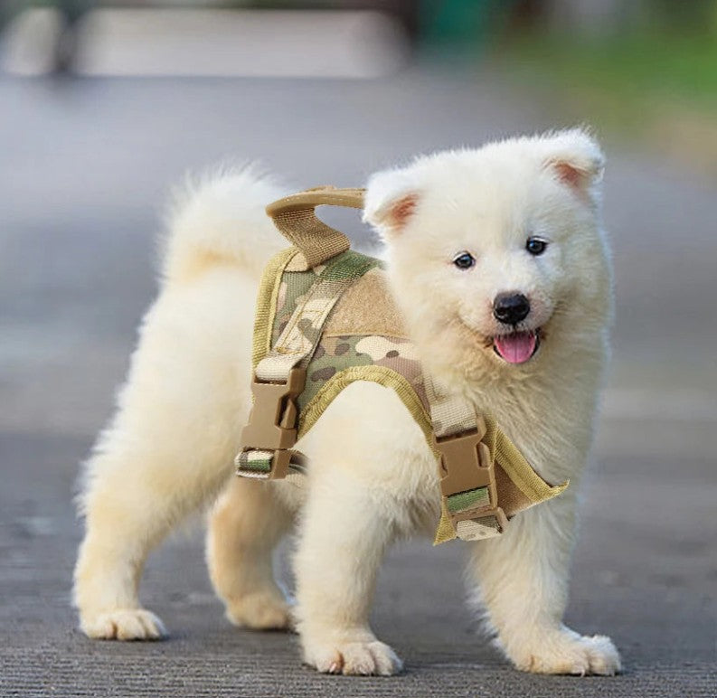 Harnais Petit Chien - MiniGilet™