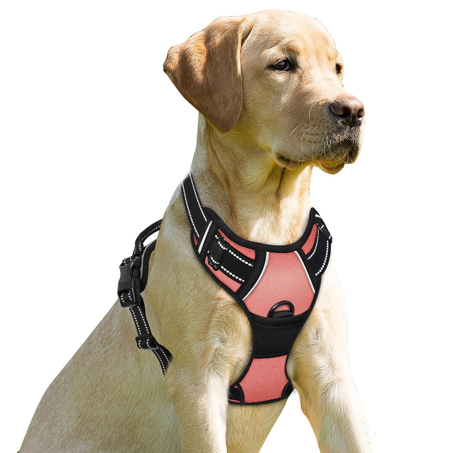 Harnais pour Chien - Harnaïa™
