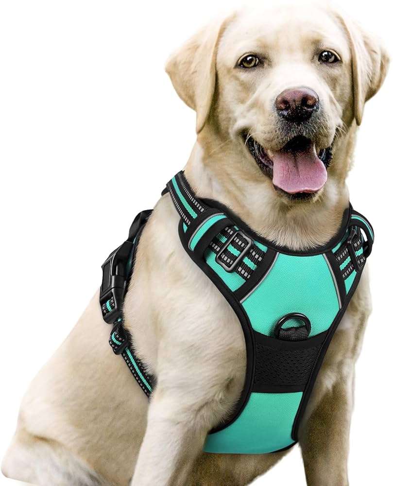 Harnais pour Chien - Harnaïa™