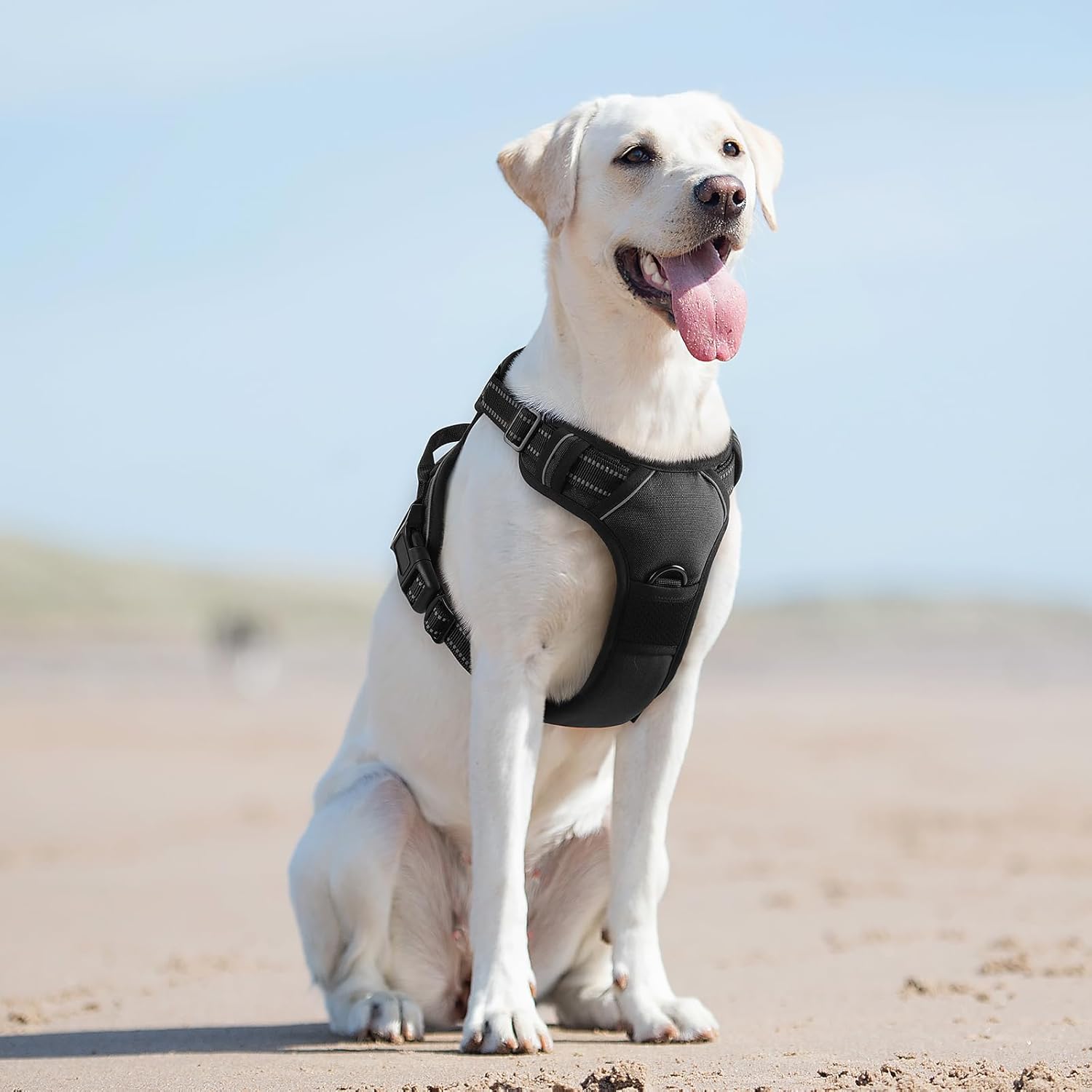 Harnais pour Chien - Harnaïa™