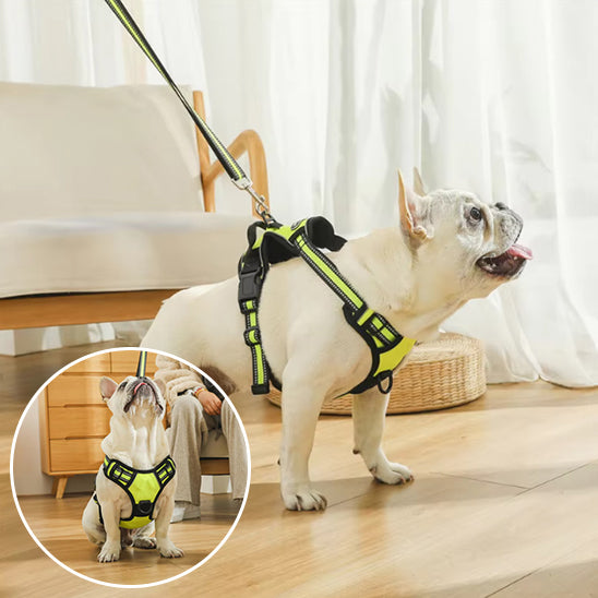 Harnais pour Chien - Harnaïa™