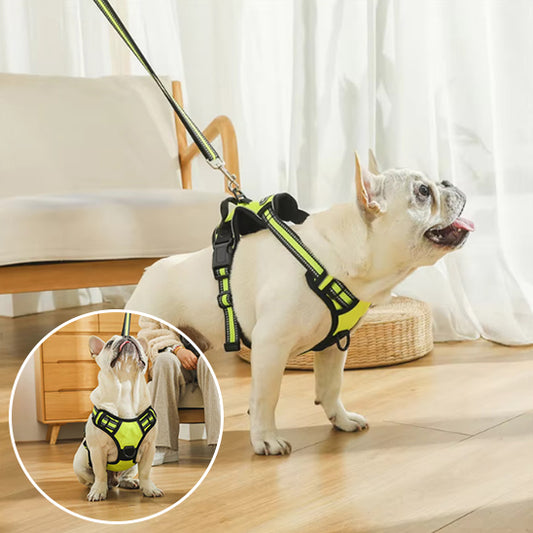 Harnais pour Chien - Harnaïa™