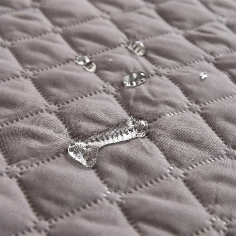 Housse-Voiture-Chien-Impermeable
