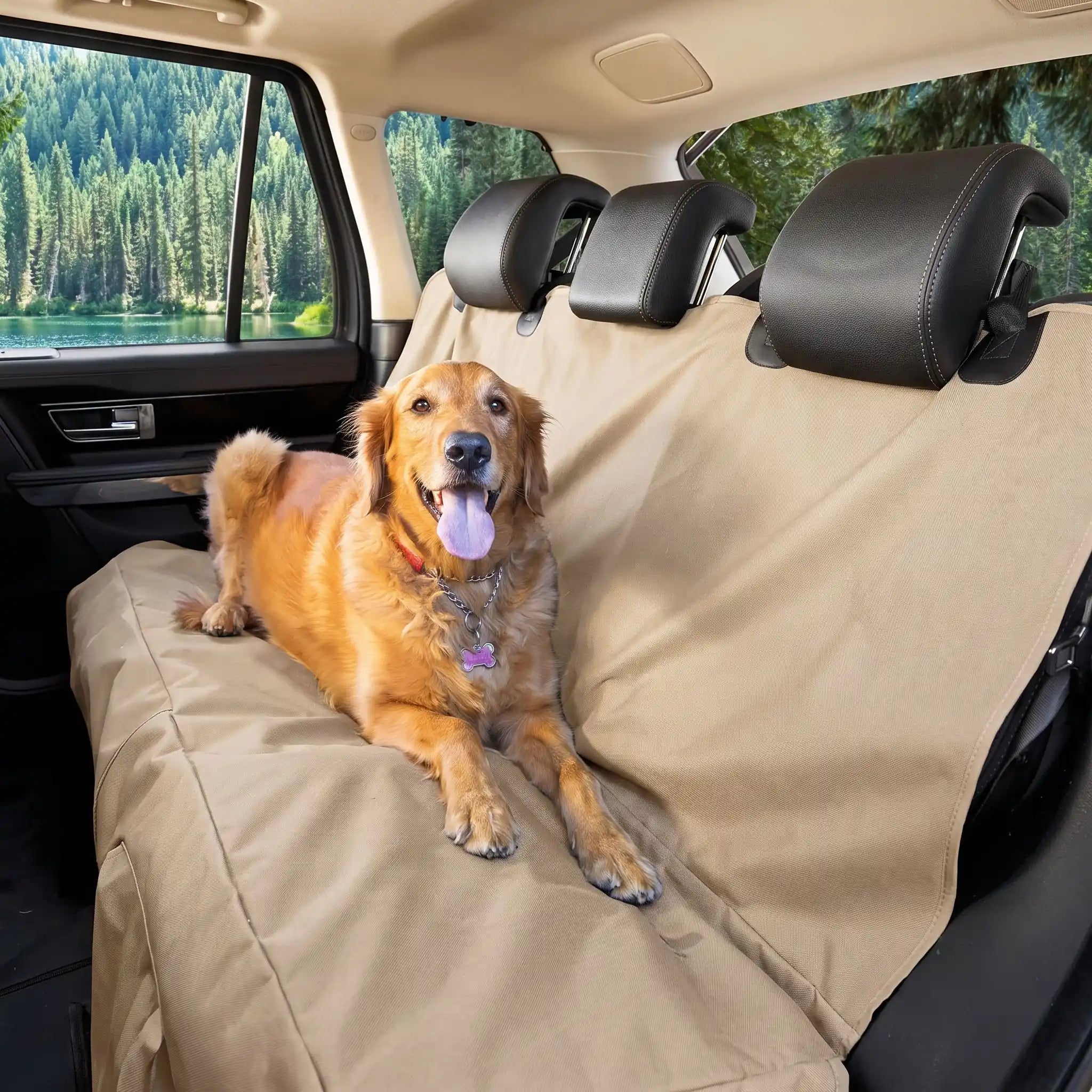 Housse voiture chien | Protection Complète