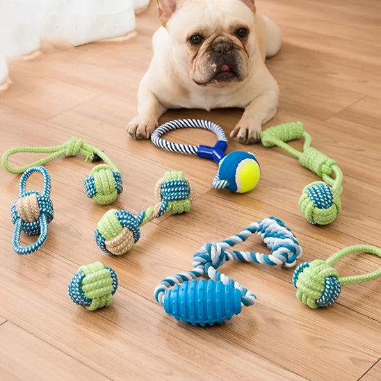 Jouet pour Chien - LudiCorde™