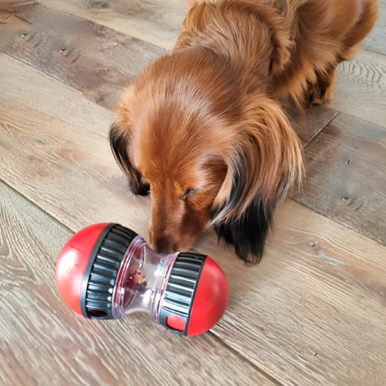 Jouet pour Chien - RouleCroq™