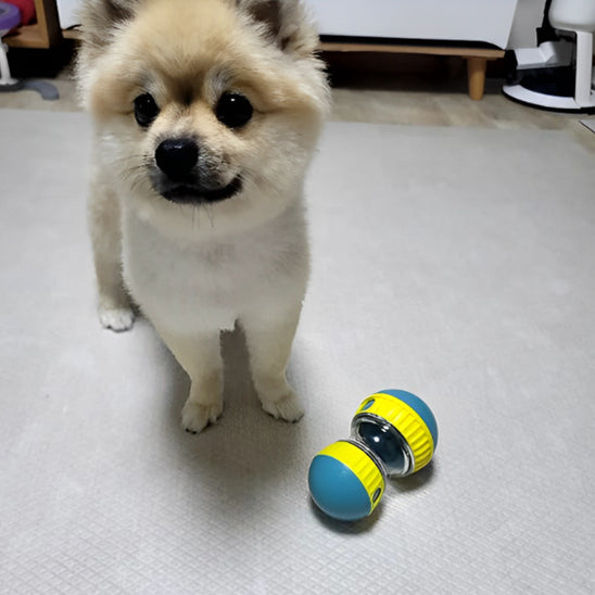 Jouet pour Chien - RouleCroq™
