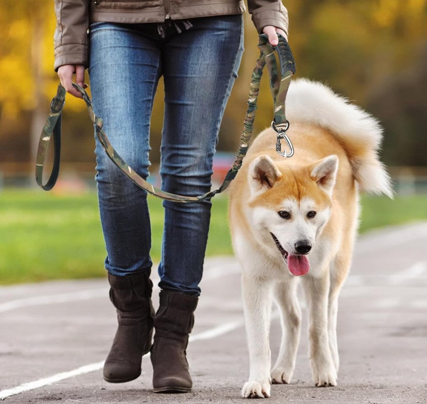 Laisse Chien - FlexiForce™