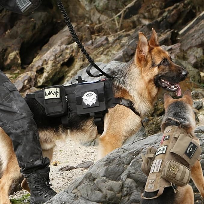 Laisse Chien - FlexiForce™