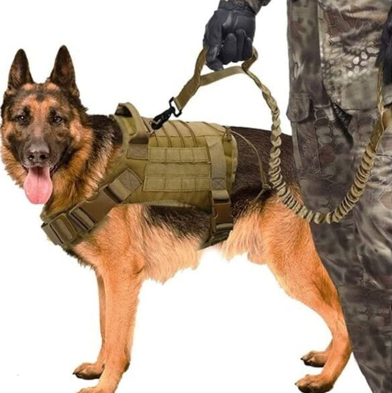 Laisse Chien - FlexiForce™