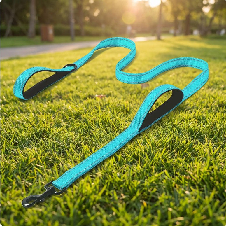 Laisse pour Chien - ControlMax™