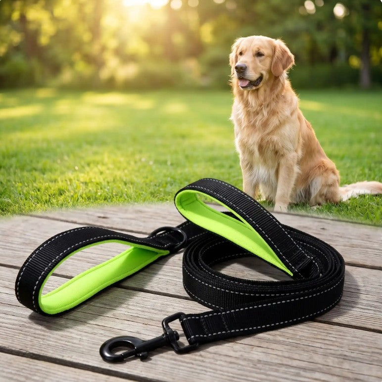 Laisse pour Chien - ControlMax™