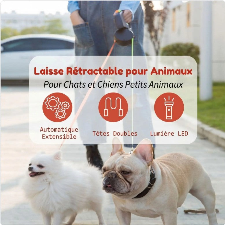 Laisse pour Chien - DuoLaisse™