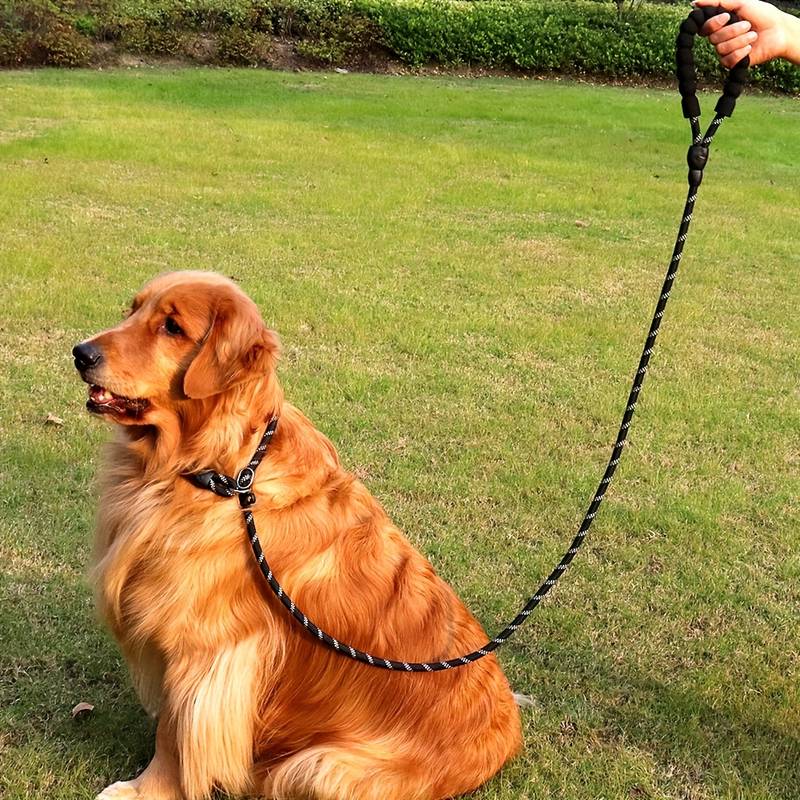 Laisse pour chien - GripConfort™