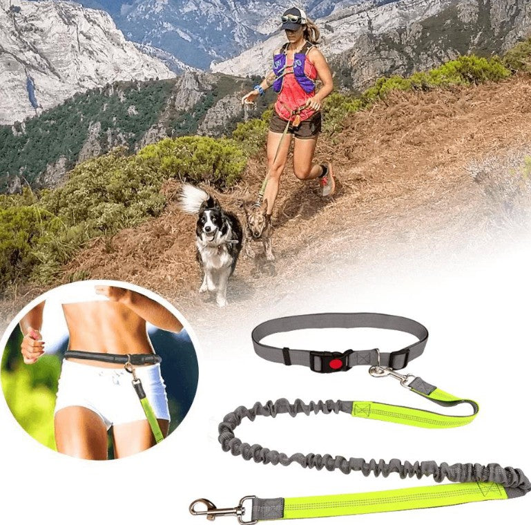 Laisse pour Chien - MainLibre™