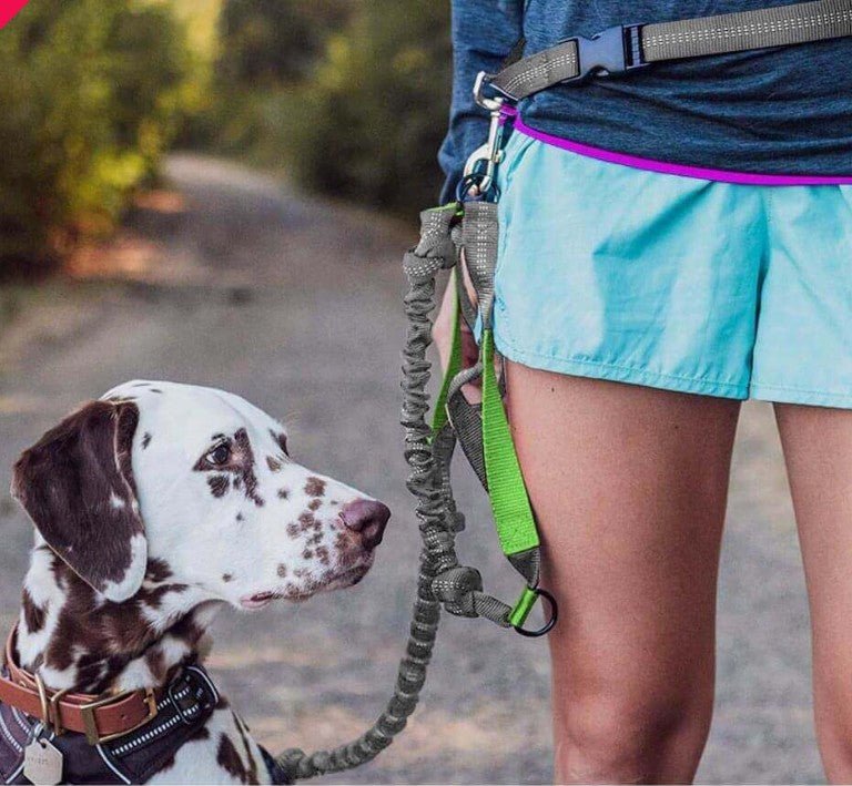 Laisse pour Chien - MainLibre™