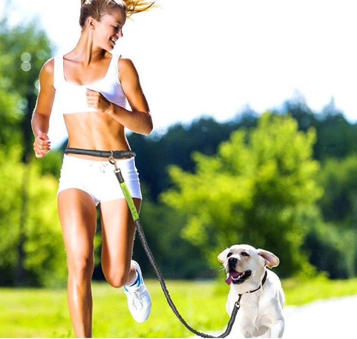 Laisse pour Chien - MainLibre™