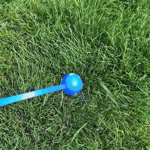 Lanceur de balle pour Chien - TurboLance™