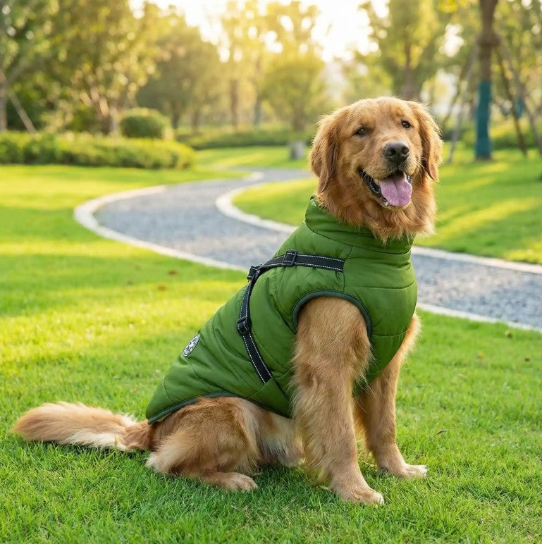 Manteau pour Chien ChaudMax