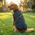 Manteau pour Chien ChaudMax
