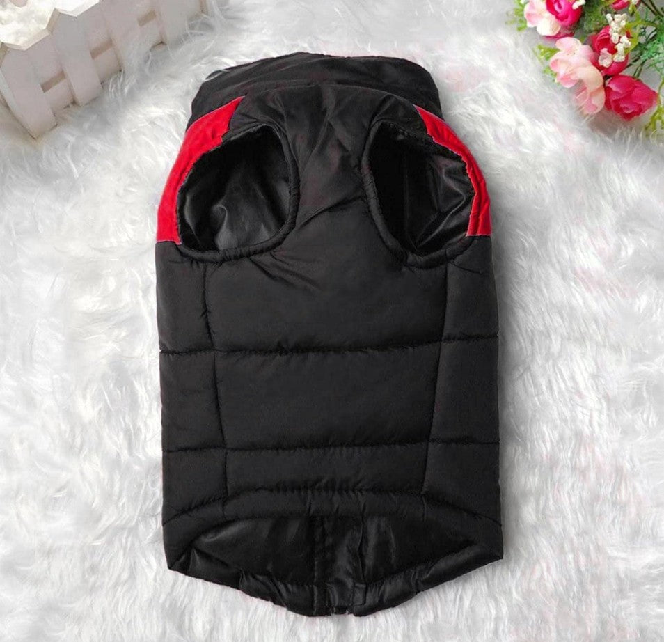 Manteau pour Chien - Chaudou™