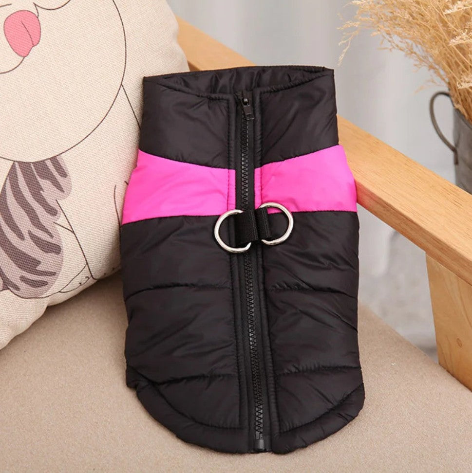 Manteau pour Chien - Chaudou™