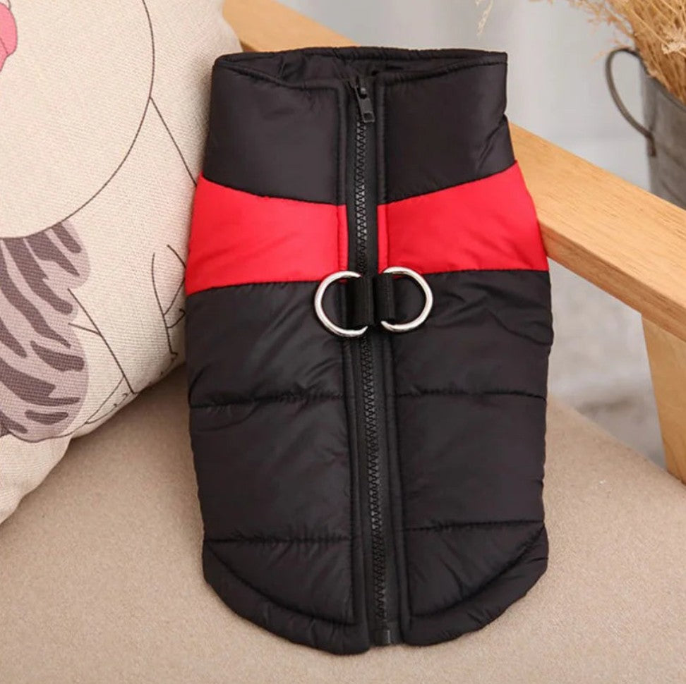 Manteau pour Chien - Chaudou™