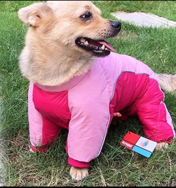Manteau pour Chien - Toutoudou™