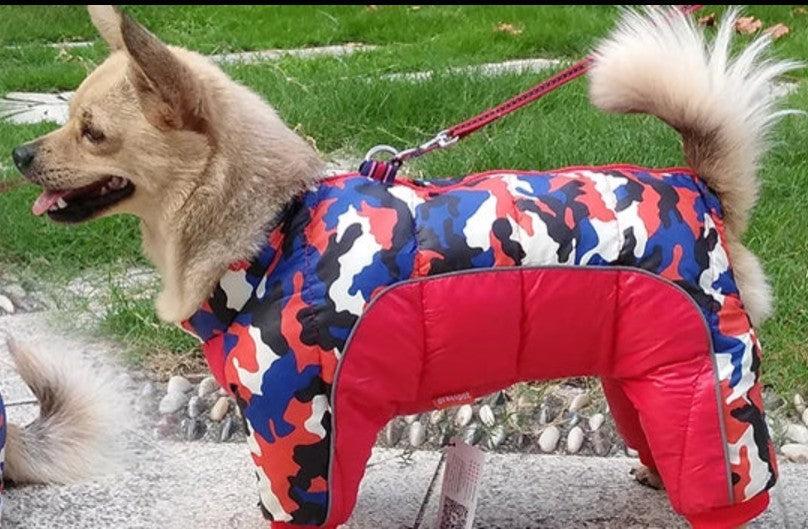 Manteau pour Chien - Toutoudou™