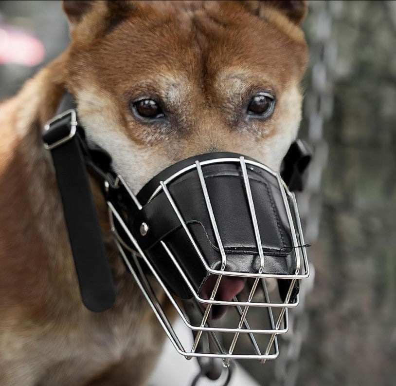 Muselière Chien - MuseMetal™
