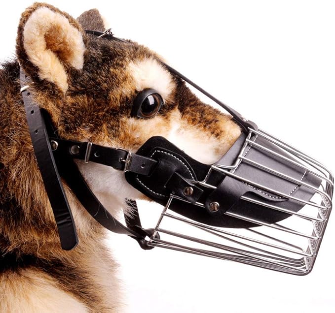 Muselière Chien - MuseMetal™