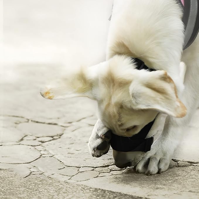 Muselière Chien - CalmiMuse™