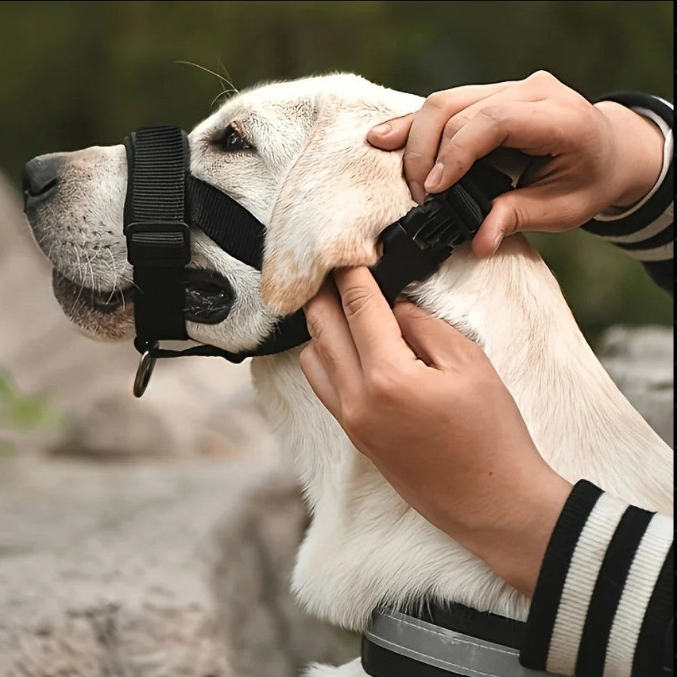 Muselière Chien - CalmiMuse™