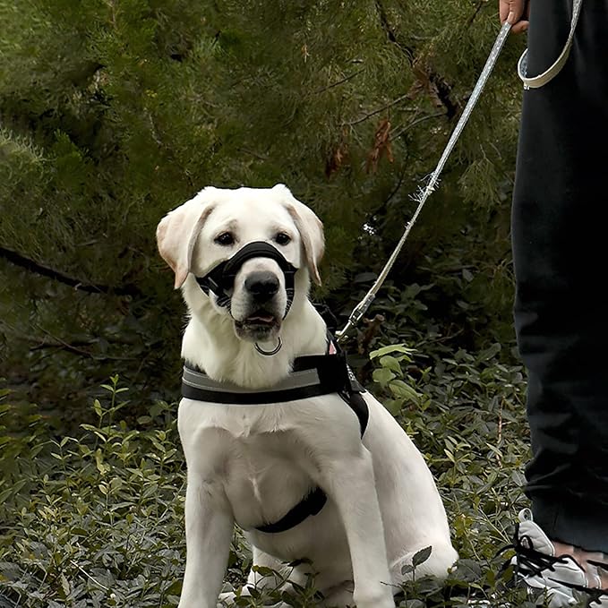 Muselière Chien - CalmiMuse™