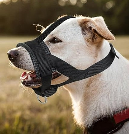Muselière Chien - ÉduMuse™