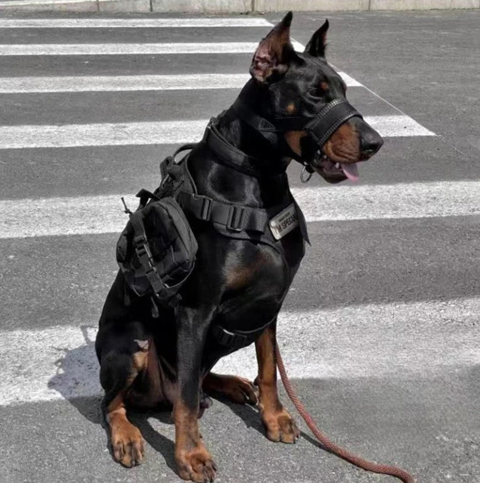 Muselière Chien - ÉduMuse™