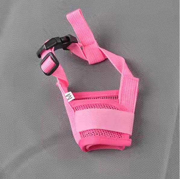 Muselière Chien - MuseSûre™