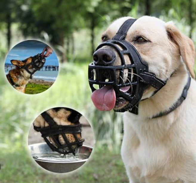 Muselière Chien - ZenMuse™