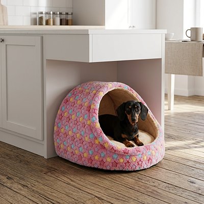 Niche pour Chien