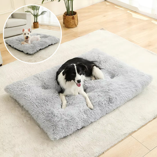 Panier Chien - CoussinConf™