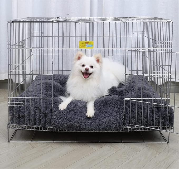 Panier Chien - CoussinConf™