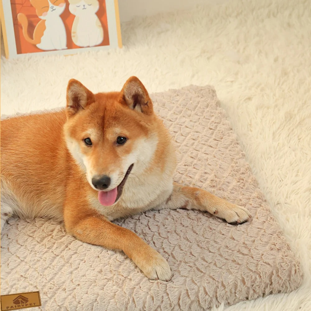 Panier pour Chien - TranquilLit™