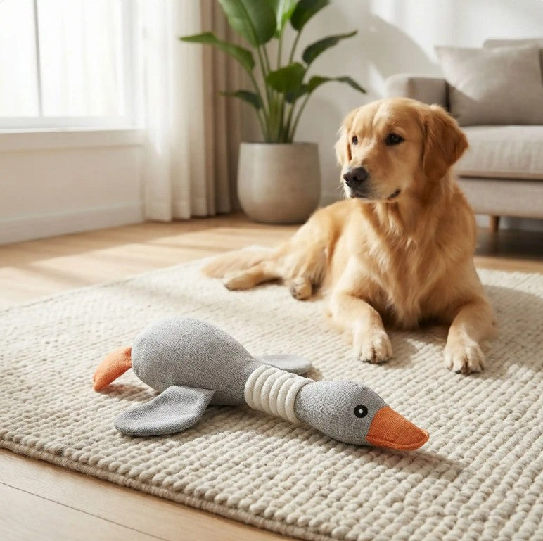 Peluche pour Chien - Canard'Ludic™