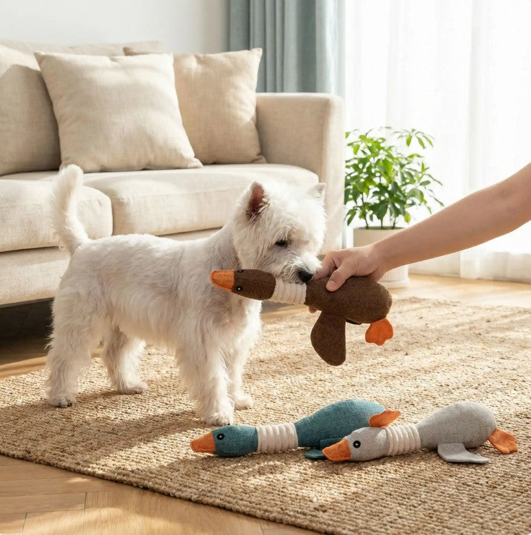 Peluche pour Chien - Canard'Ludic™
