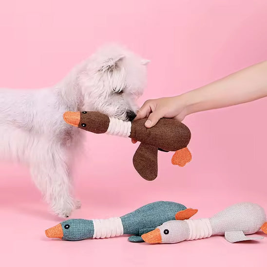 Peluche pour Chien - Canard'Ludic™